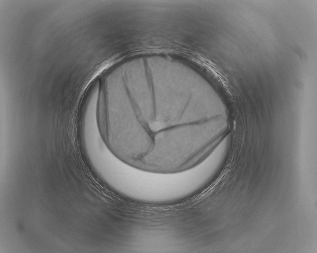 X0000115381165200912151433