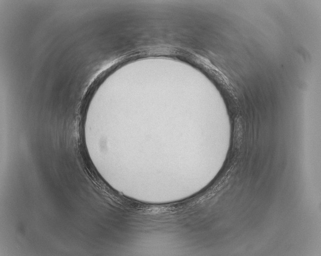 X0000115381166200912151433