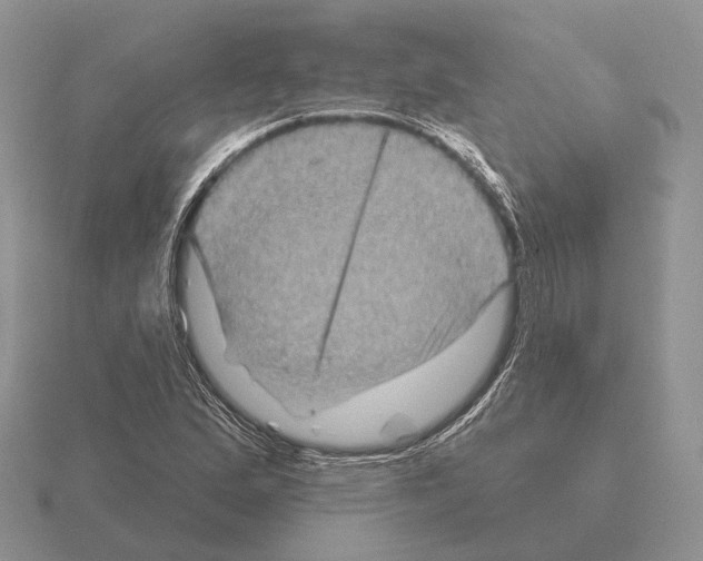 X0000115381167200912151433