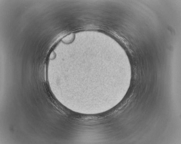 X0000115381171200912151433