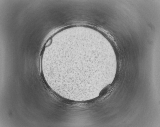 X0000115381175200912151433