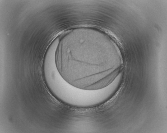 X0000115381177200912151433