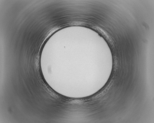 X0000115381178200912151433