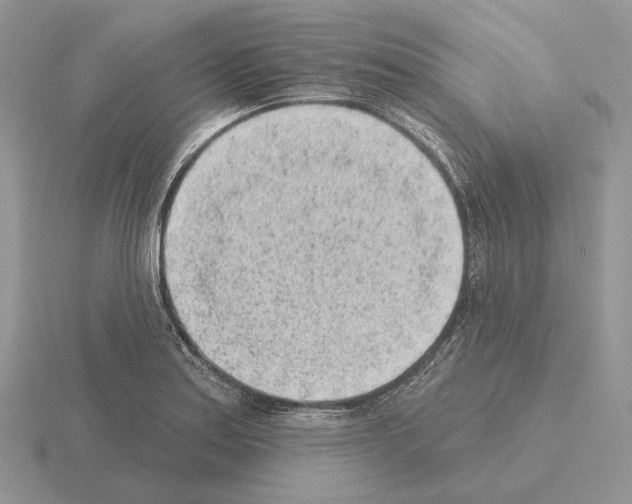 X0000115381179200912151433