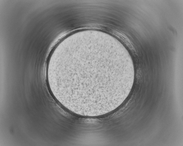 X0000115381180200912151433