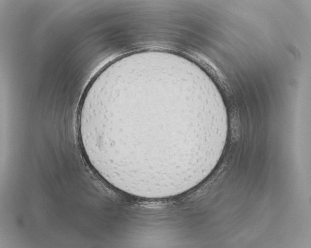 X0000115381182200912151433