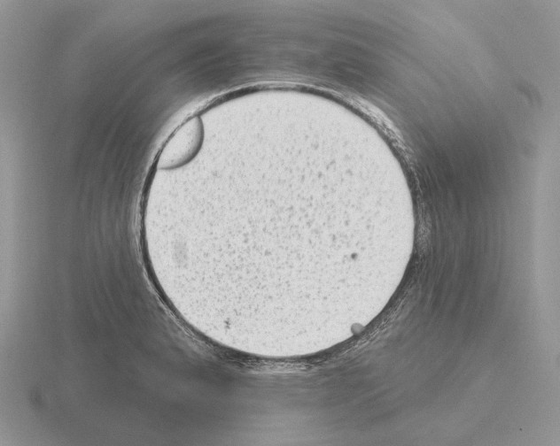 X0000115381183200912151433