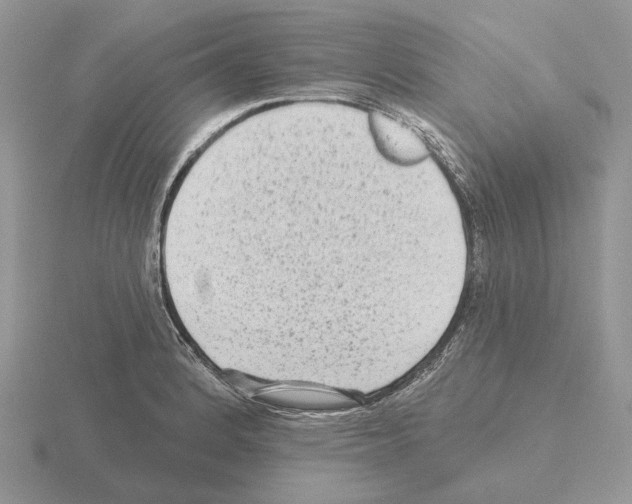 X0000115381184200912151433