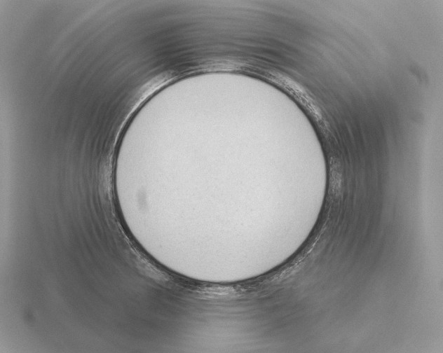 X0000115381186200912151433