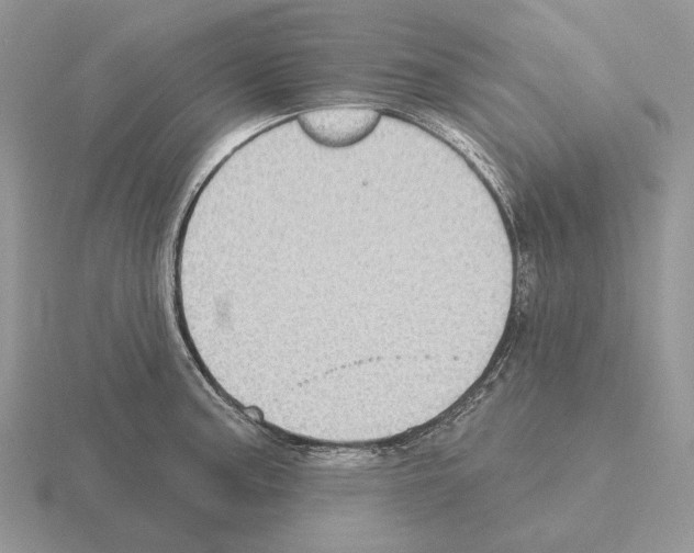 X0000115381187200912151433