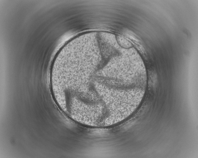 X0000115381188200912151433