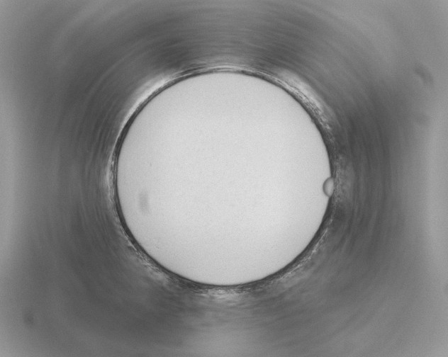 X0000115381190200912151433