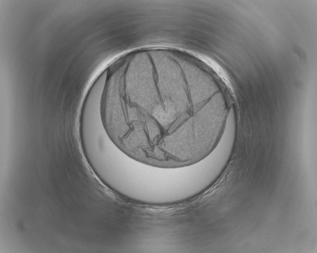 X0000115381191200912151433