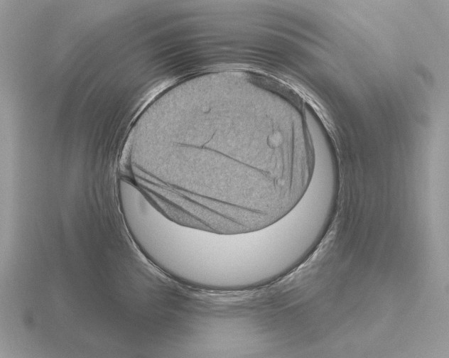 X0000115381193200912151433