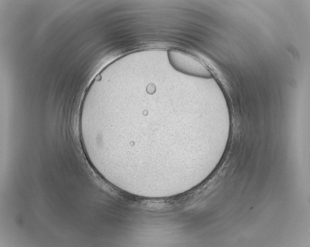 X0000115381194200912151433