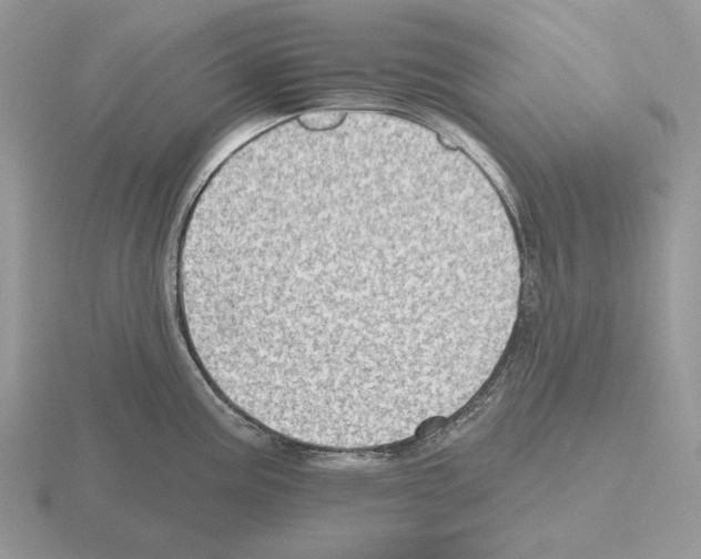 X0000115381195200912151433