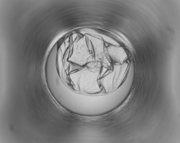 X0000115381196200912151433