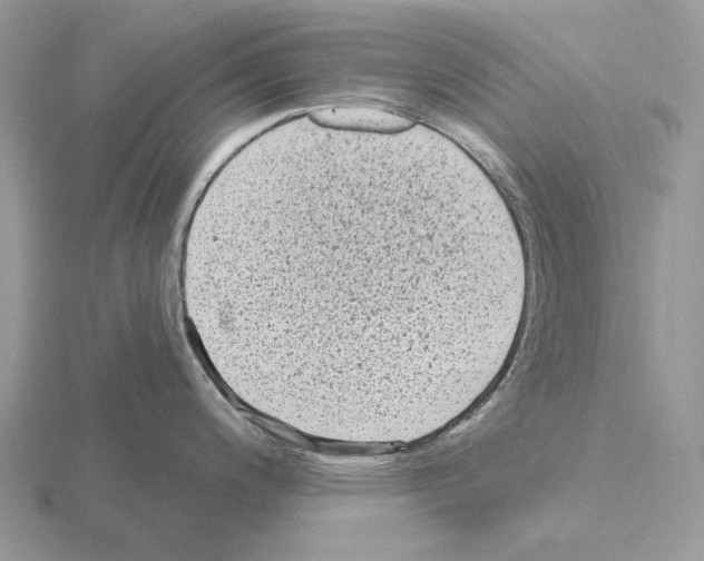 X0000115381200200912151433