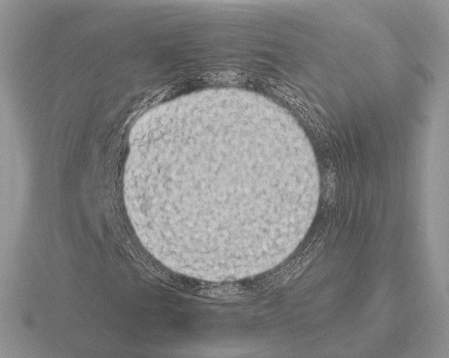 X0000115381201200912151432