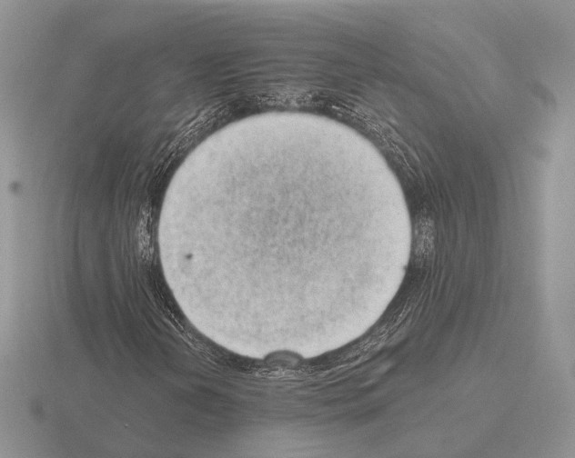 X0000115381202200912151432