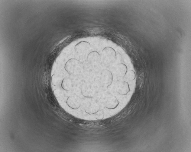 X0000115381205200912151432