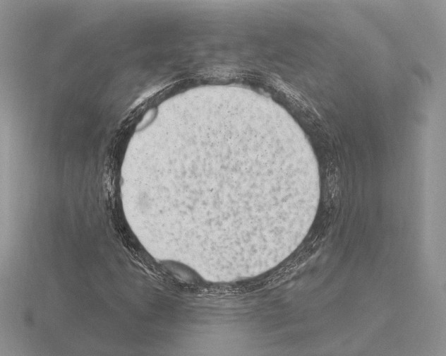 X0000115381206200912151432