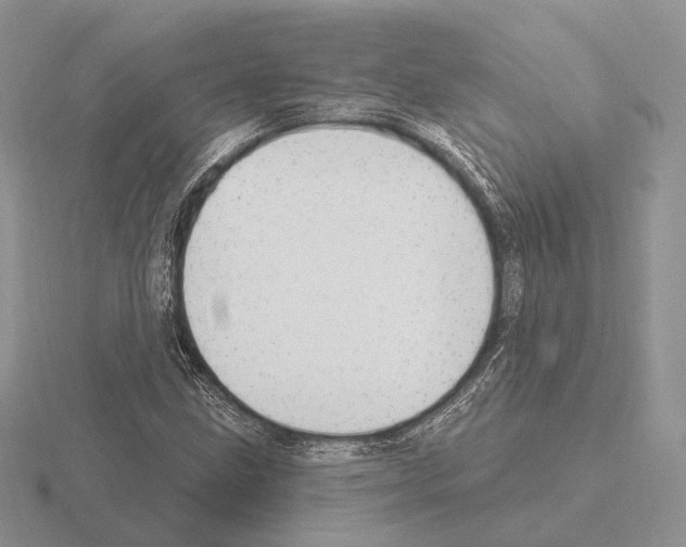 X0000115381211200912151432