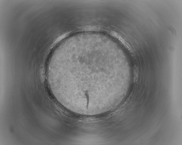 X0000115381213200912151432