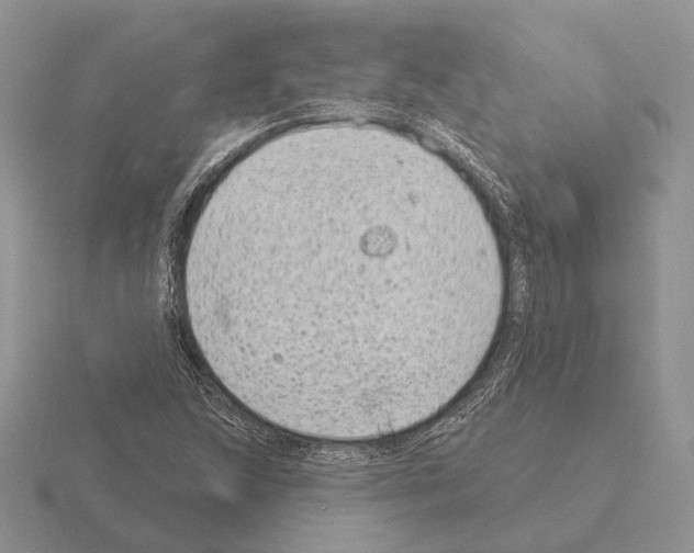 X0000115381215200912151432