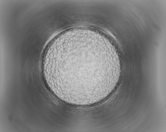 X0000115381216200912151432