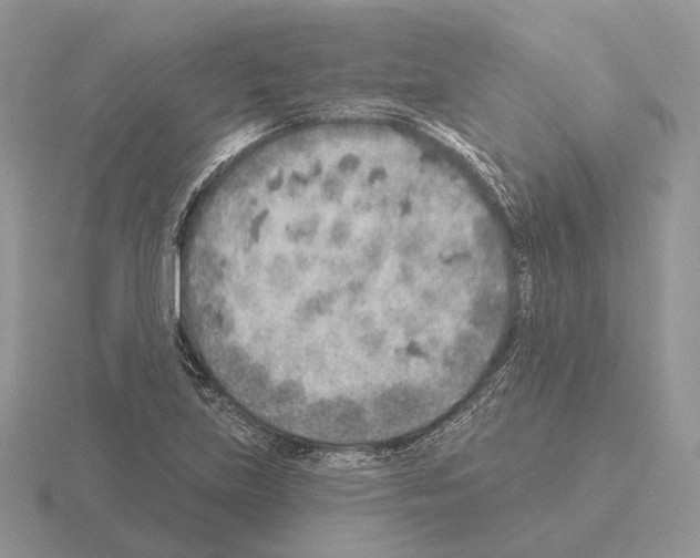 X0000115381219200912151432