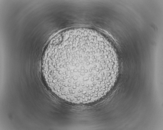 X0000115381220200912151432