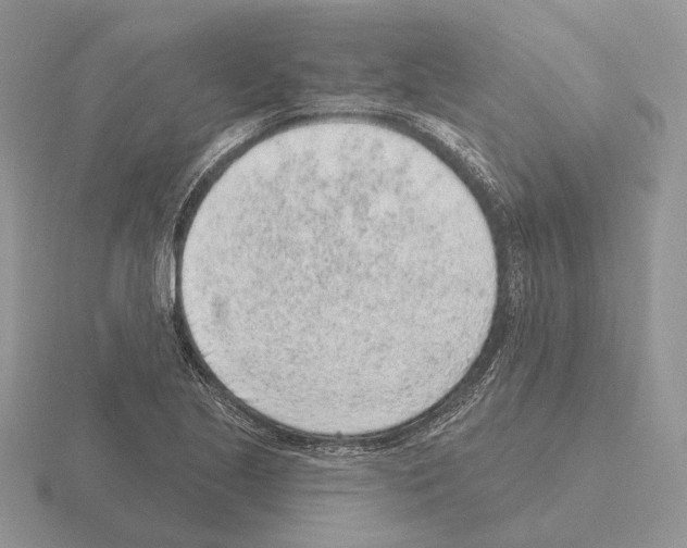 X0000115381221200912151432