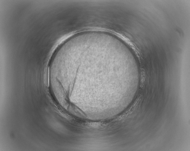 X0000115381223200912151432