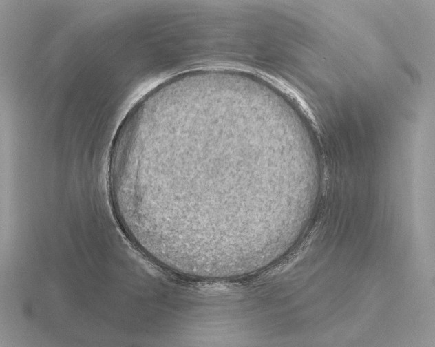 X0000115381231200912151432