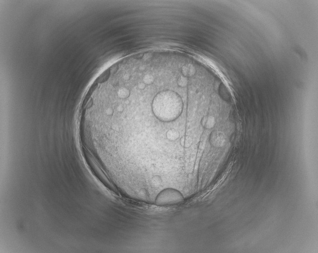 X0000115381235200912151432