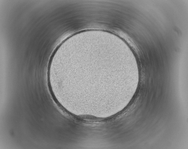 X0000115381237200912151432