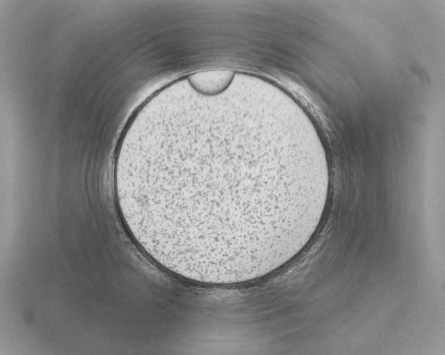 X0000115381238200912151432