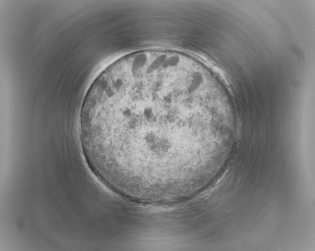 X0000115381239200912151432