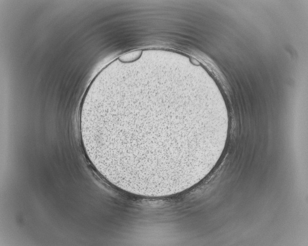 X0000115381242200912151433