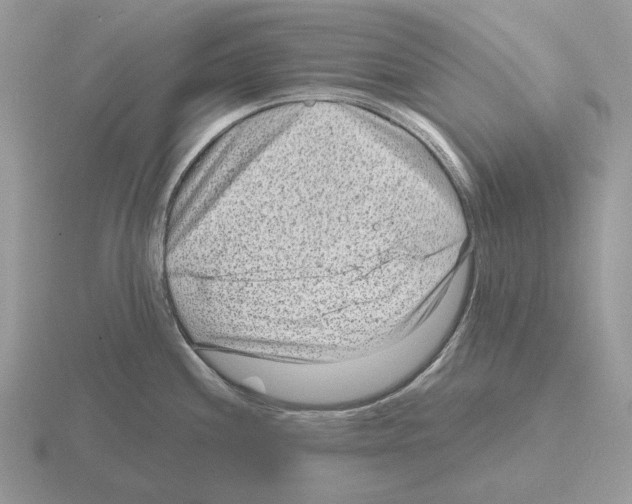 X0000115381244200912151433