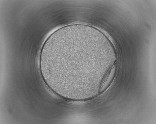 X0000115381246200912151433