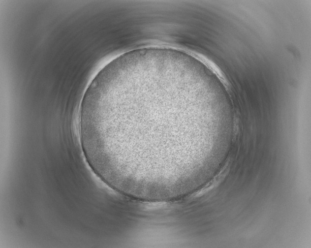 X0000115381247200912151433