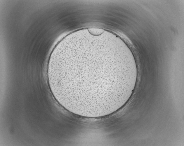 X0000115381248200912151433