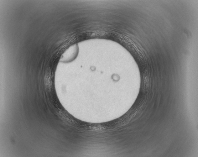 X0000115381250200912151432