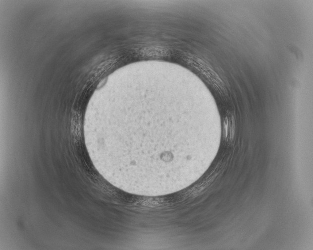 X0000115381251200912151432