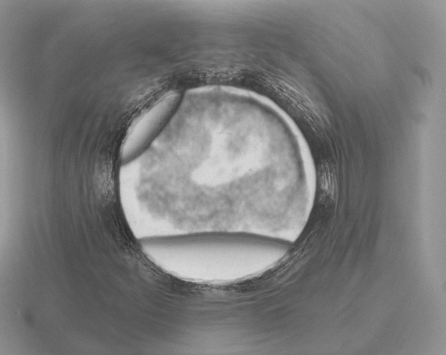 X0000115381252200912151432