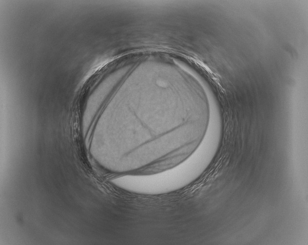 X0000115381255200912151432