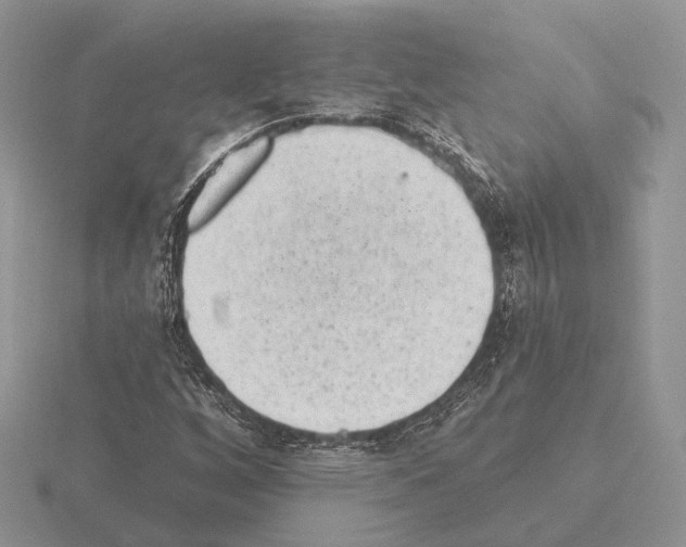 X0000115381256200912151432