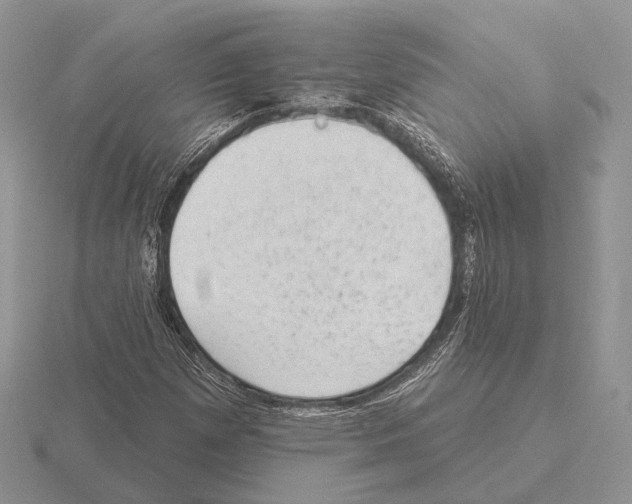 X0000115381257200912151432